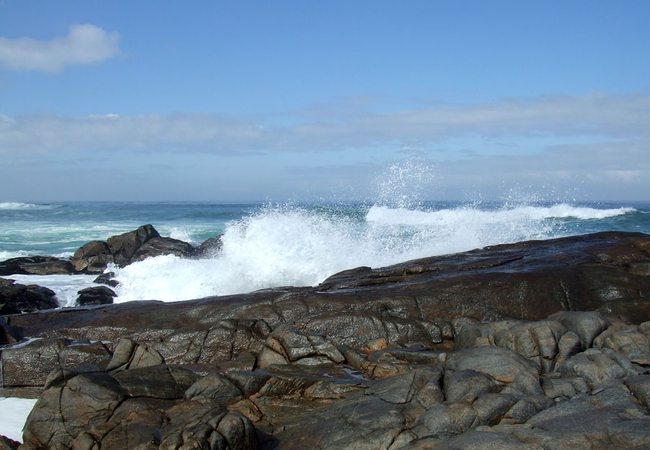 West Coast National Park