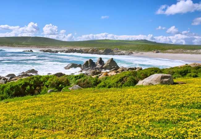 West Coast National Park View Rates OIZQOC west-coast-national-park-view-rates-oizqoc