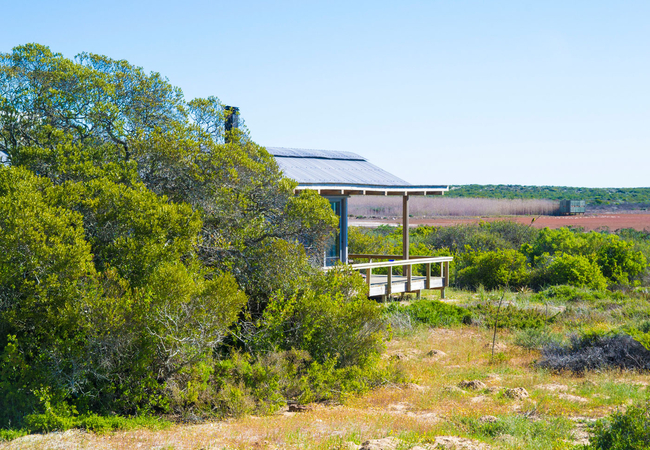 Rocherpan Nature Reserve