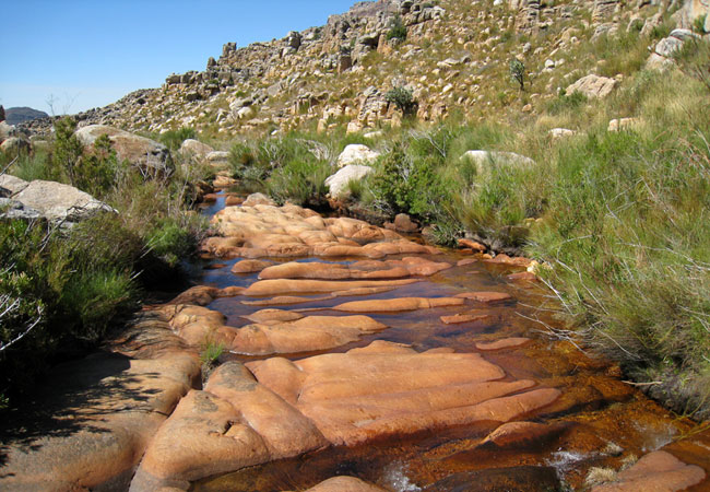 clanwilliam tourism