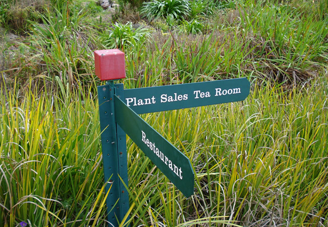 Kirstenbosch Botanical Gardens in Newlands, Cape Town