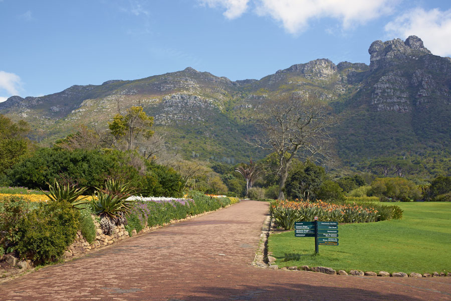 Botanical Gardens In Cape Town Fasci Garden