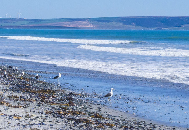 catamaran cruise langebaan