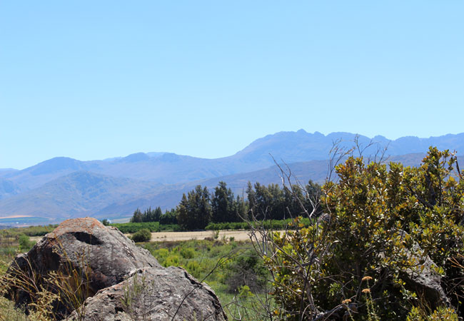 clanwilliam tourism