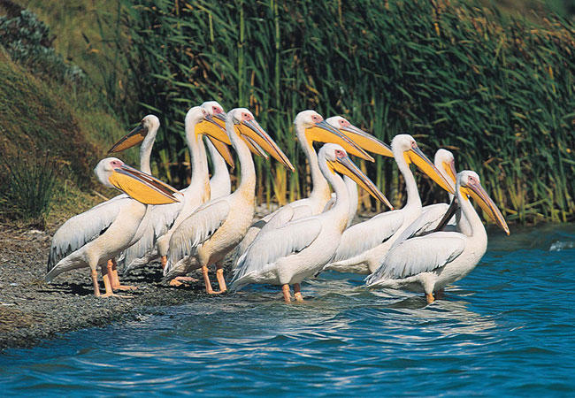 Photograph © South African Tourism