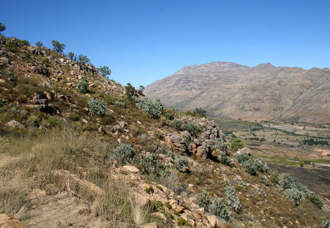 clanwilliam tourism