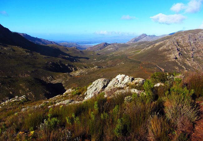 Photograph © Mont Rochelle Nature Reserve