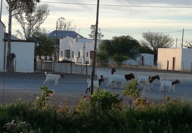 Photograph with thanks to and © Hope Cottage in Rietbron