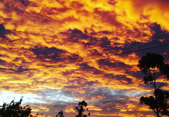 Photograph with thanks to and © Hope Cottage in Rietbron