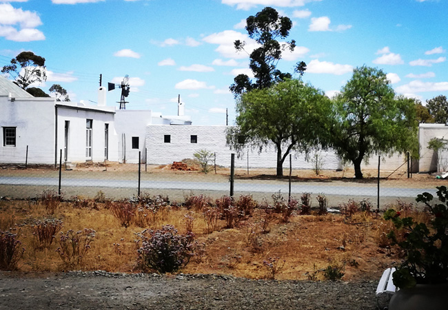 Photograph with thanks to and © Hope Cottage in Rietbron