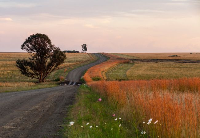 free state tourism attractions