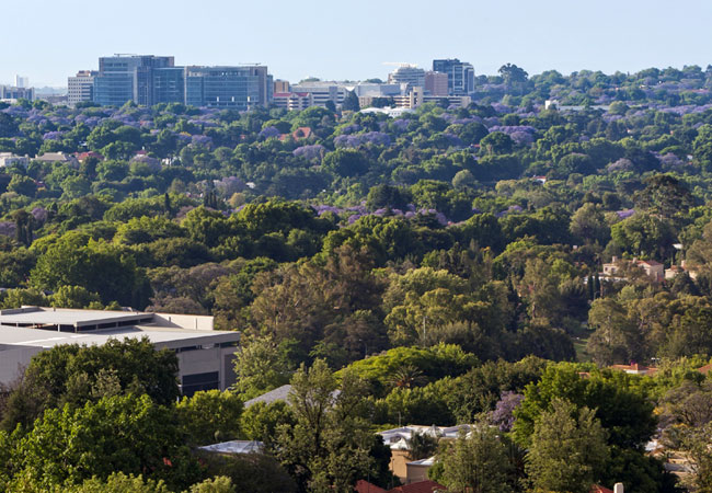 south african tourism sandton