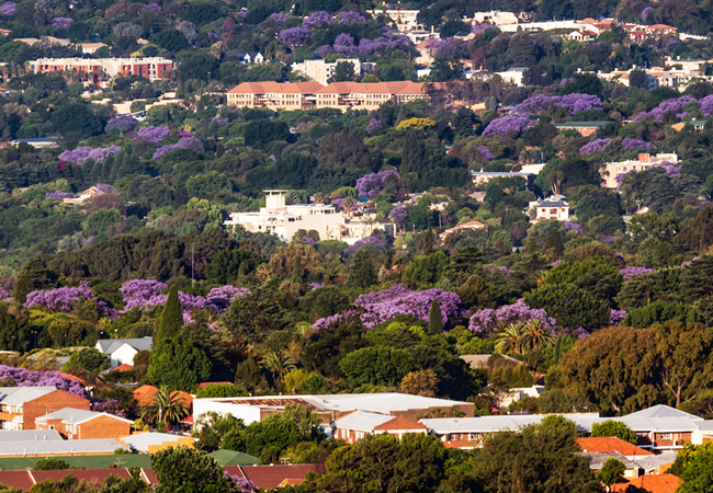 south african tourism sandton