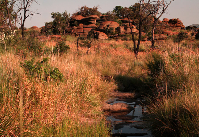 various tourist attractions available in gauteng