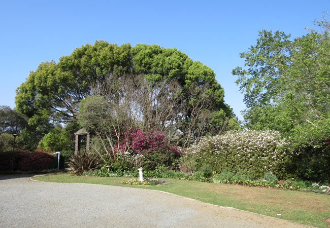 The Gardens at the Church of the Ascension