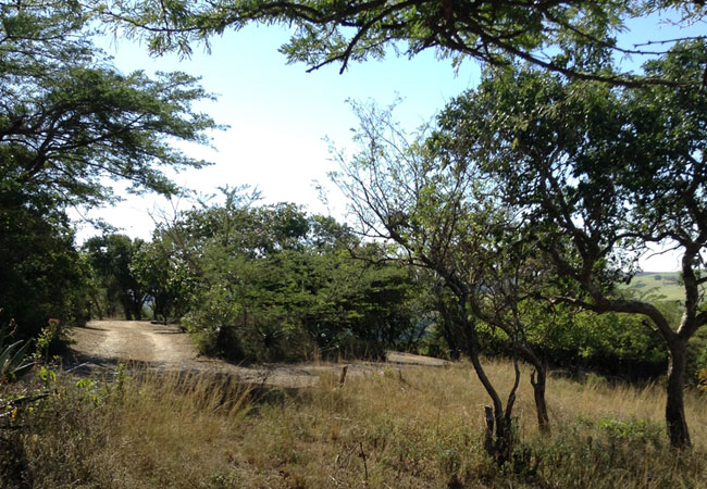 The nearby Harold Johnson Nature Reserve