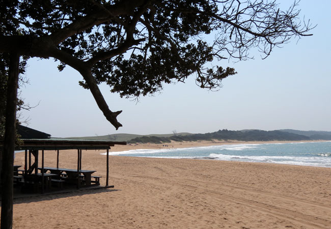 View from the boardwalk