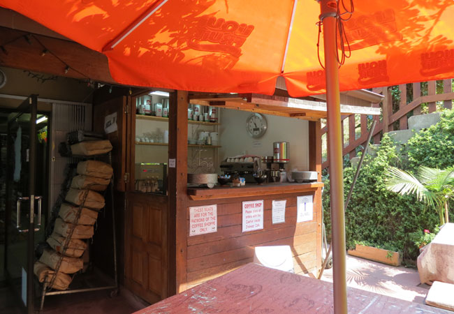 Get your caffeine fix here