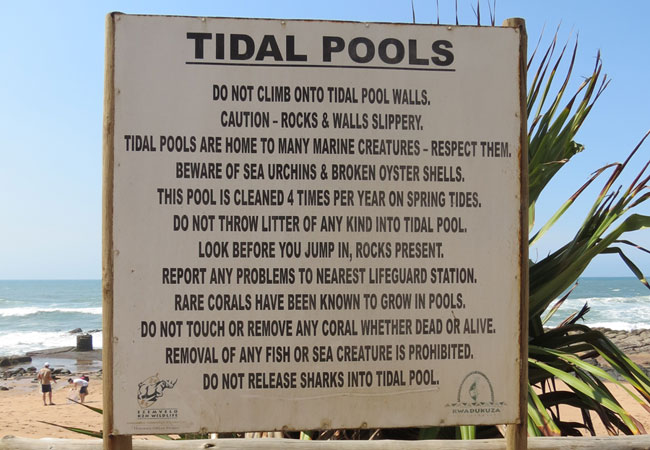 Tidal pool info