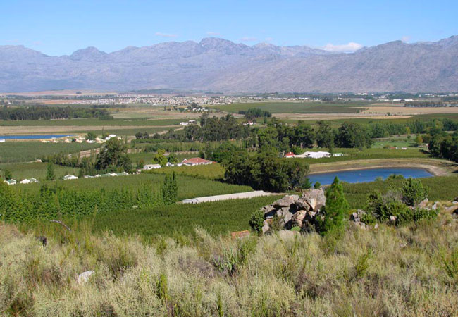 Prince Alfred Hamlet photograph © Rhodene Farm Cottages
