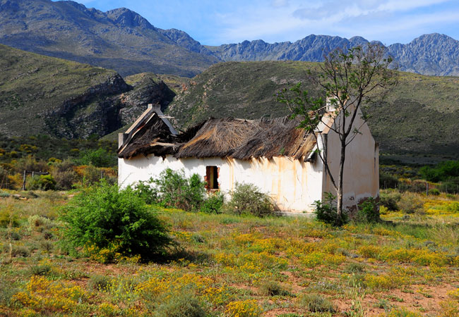 ladismith western cape tourism