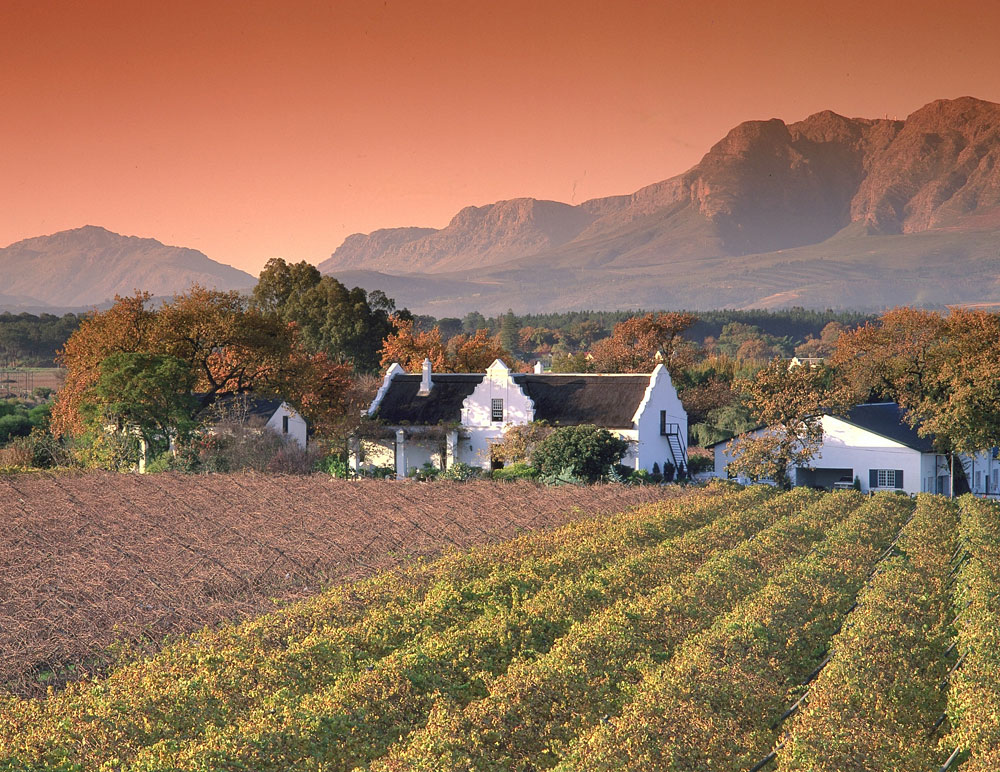winelands