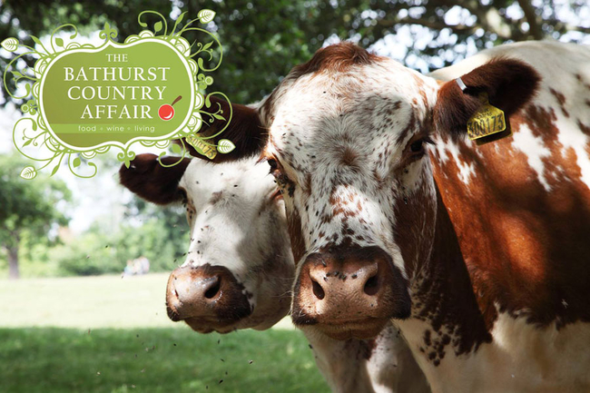 Bathurst Country Affair