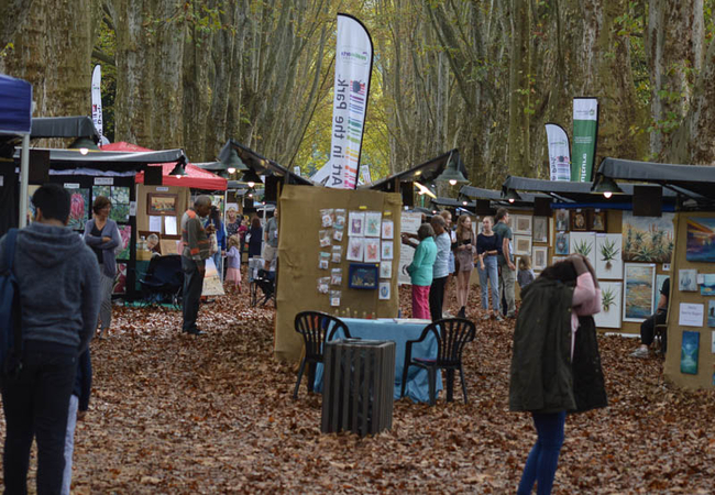 SANBI Art In The Park