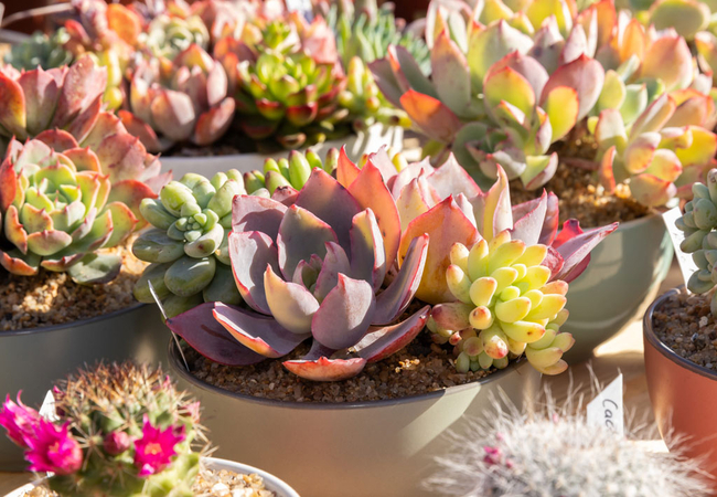 East Coast Radio House