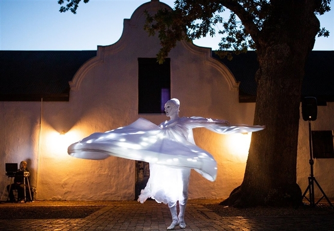 Spier Light Art Festival