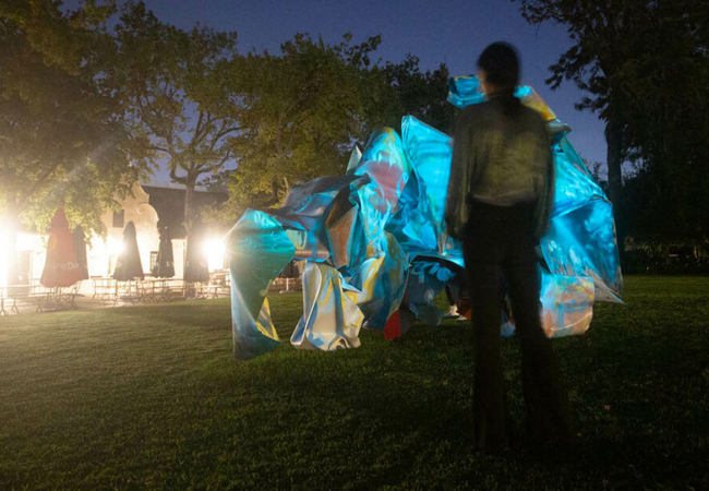 Spier Light Art Festival