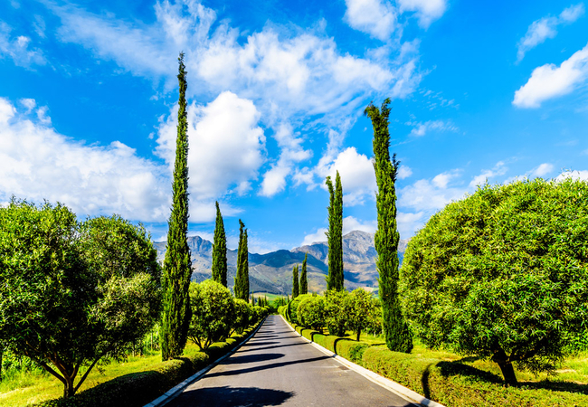 Franschhoek Open Gardens