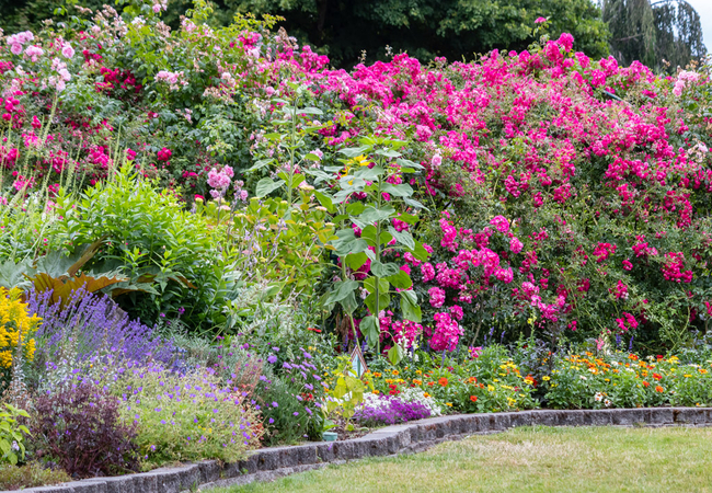 Franschhoek Open Gardens