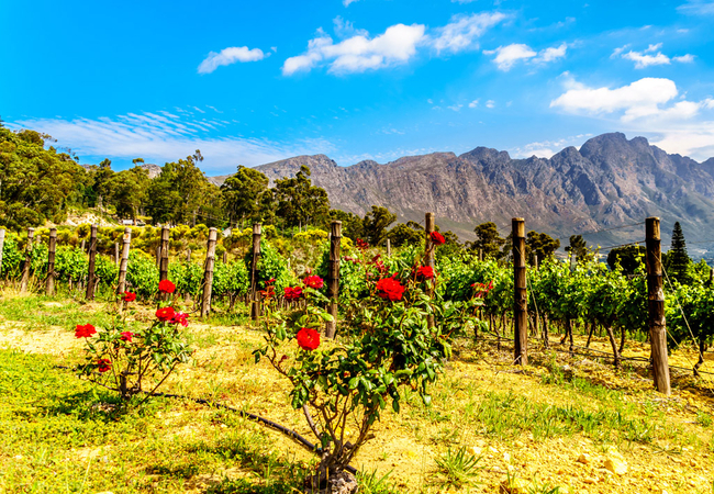 Franschhoek Open Gardens