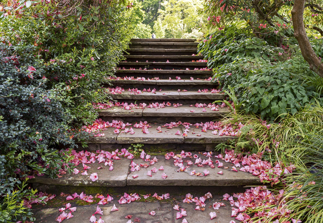 Franschhoek Open Gardens