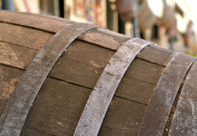 Stellenbosch Wine Festival