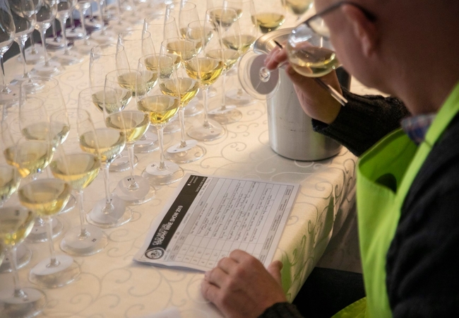 Trophy Wine Show Public Tasting