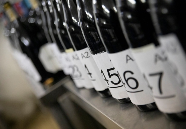 Trophy Wine Show Public Tasting