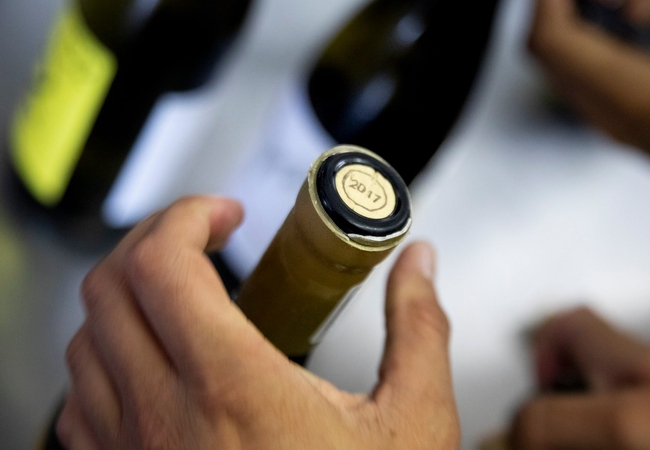 Trophy Wine Show Public Tasting