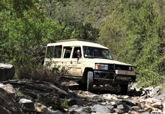 ADDO ELEPHANT NAT. PARK 4X4 TOUR KABOUGA SECTION