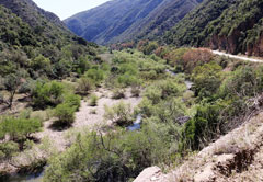 BAVIAANSKLOOF - WORLD HERITAGE SITE (OV01)