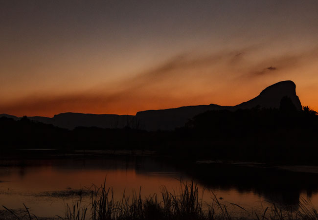 Apex Tours & Safaris