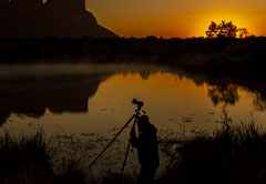 Madikwe Big 5 Photographic Safari