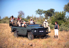 4-Day Private Game Lodge Safari