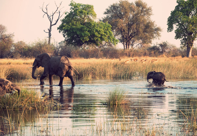 Southern African Tours