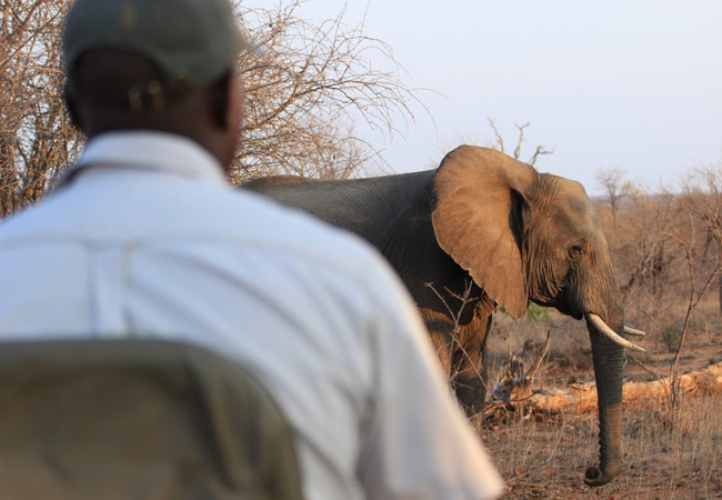 Southern African Tours