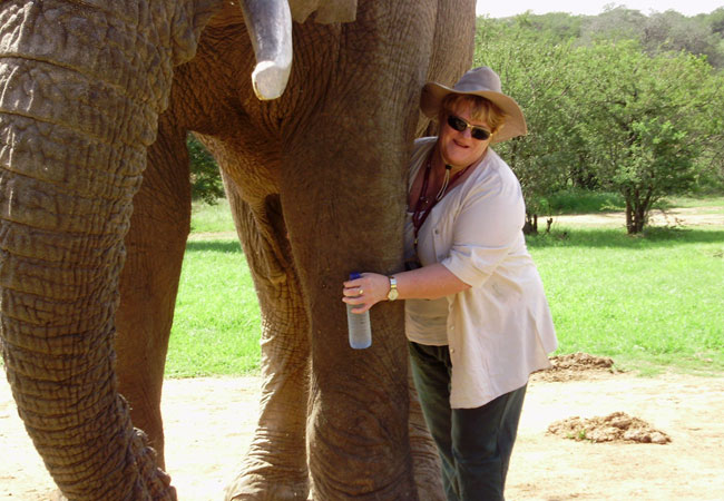 Umzantsi Afrika Tours