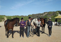 Bush & Beach Horse Trail - Sardinia Bay