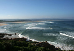 Plettenberg Bay and Knysna Elephant Park