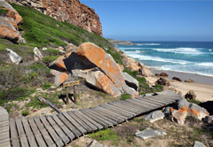 8 Day Luxury Honeymoon Garden Route Tour UMZHGR8